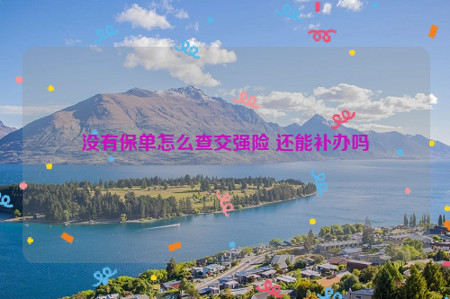 没有保单怎么查交强险 还能补办吗