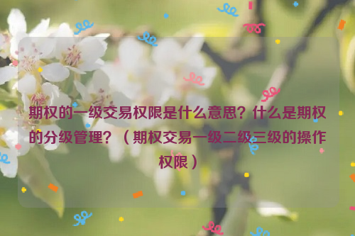 期权的一级交易权限是什么意思？什么是期权的分级管理？（期权交易一级二级三级的操作权限）