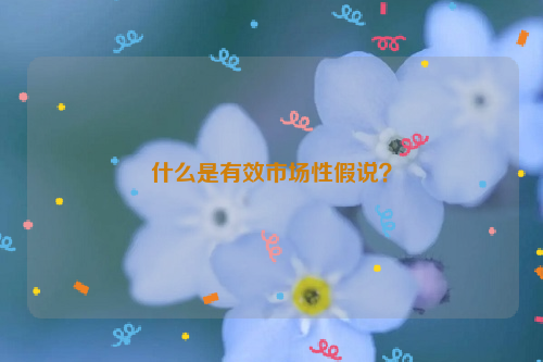 什么是有效市场性假说？