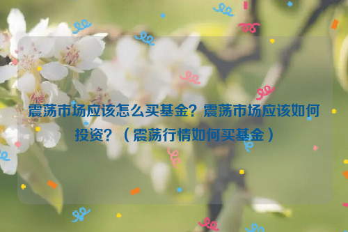 震荡市场应该怎么买基金？震荡市场应该如何投资？（震荡行情如何买基金）