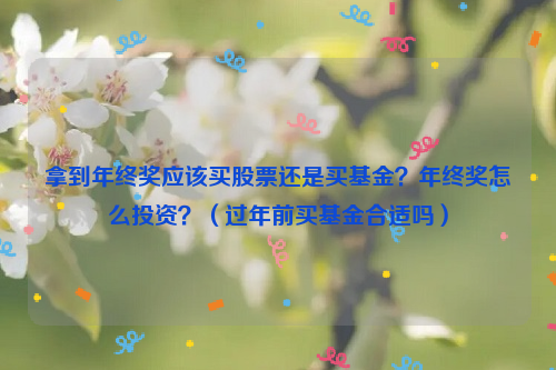 拿到年终奖应该买股票还是买基金？年终奖怎么投资？（过年前买基金合适吗）