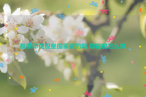 股票印花税是国家收的吗 印花税怎么算