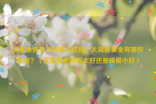 买基金选多大规模比较好？大规模基金有哪些缺点？（买基金是规模大好还是规模小好）