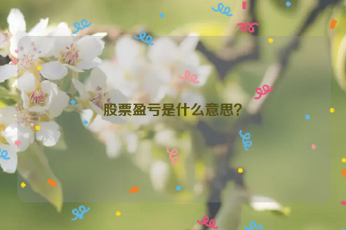 股票盈亏是什么意思？