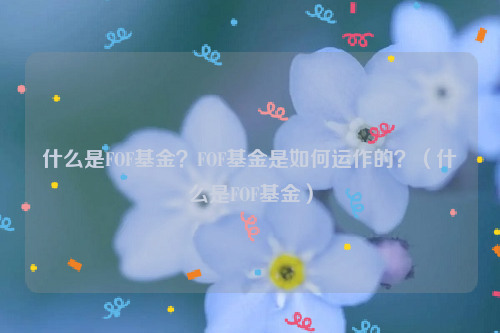 什么是FOF基金？FOF基金是如何运作的？（什么是FOF基金）