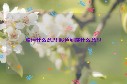 股道什么意思 股道到底什么意思