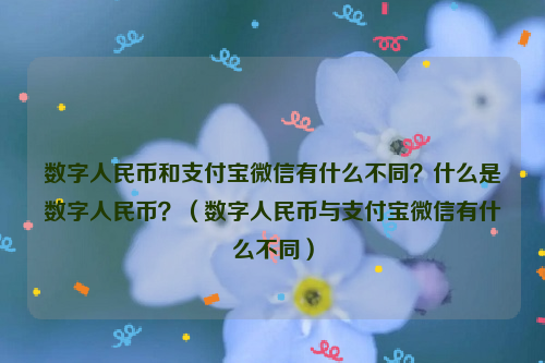 数字人民币和支付宝微信有什么不同？什么是数字人民币？（数字人民币与支付宝微信有什么不同）