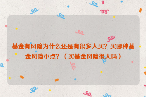 基金有风险为什么还是有很多人买？买哪种基金风险小点？（买基金风险很大吗）