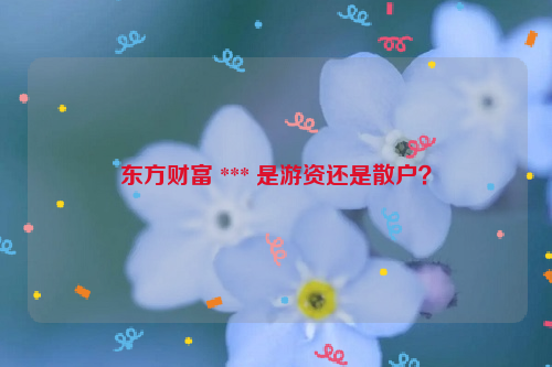 东方财富 *** 是游资还是散户？