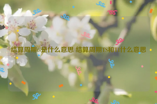 结算周期ts是什么意思 结算周期TS和T1什么意思