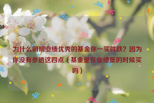 为什么明明业绩优秀的基金你一买就跌？因为你没有参透这四点（基金是在业绩低的时候买吗）