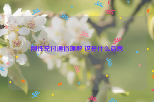 刚性兑付通俗理解 这是什么意思