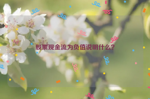 股票现金流为负值说明什么？