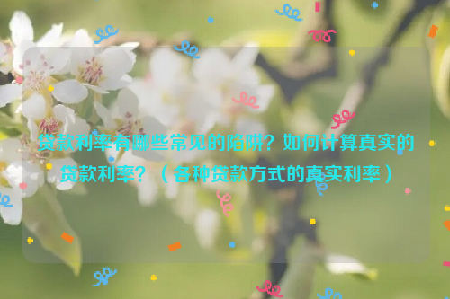 ***利率有哪些常见的陷阱？如何计算真实的***利率？（各种***方式的真实利率）