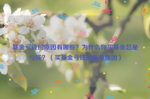 基金亏钱的原因有哪些？为什么你买基金总是亏钱？（买基金亏钱的各种原因）