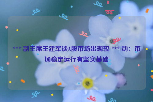 *** 副主席王建军谈A股市场出现较 *** 动：市场稳定运行有坚实基础