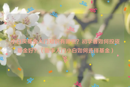 小白买基金入门知识有哪些？初学者如何投资基金好？（新手入门小白如何选择基金）