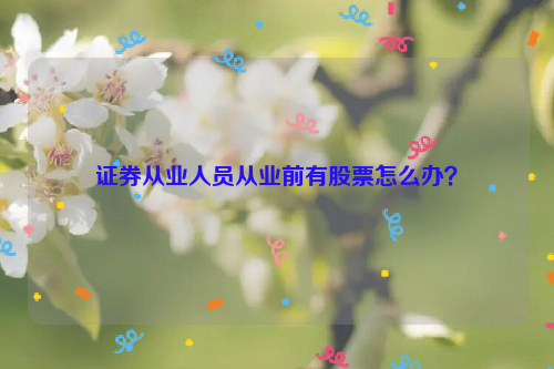 证券从业人员从业前有股票怎么办？