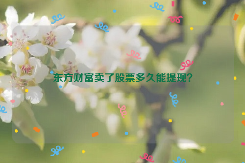 东方财富卖了股票多久能提现？