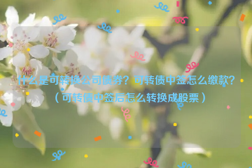 什么是可转换公司债券？可转债中签怎么缴款？（可转债中签后怎么转换成股票）