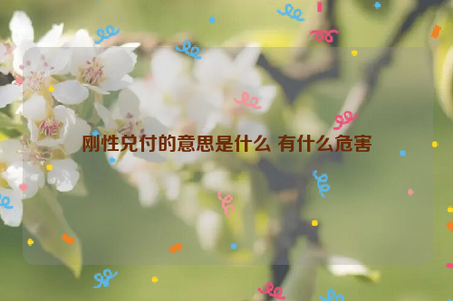 刚性兑付的意思是什么 有什么危害