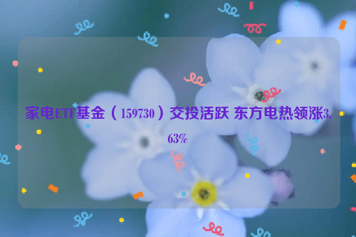 家电ETF基金（159730）交投活跃 东方电热领涨3.63%