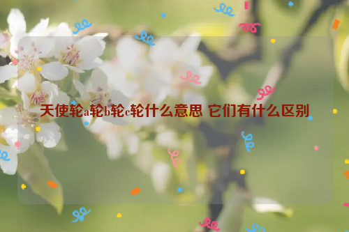 天使轮a轮b轮c轮什么意思 它们有什么区别