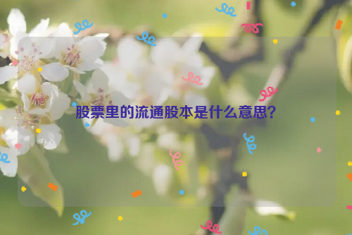 股票里的流通股本是什么意思？