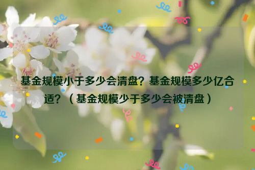 基金规模小于多少会清盘？基金规模多少亿合适？（基金规模少于多少会被清盘）