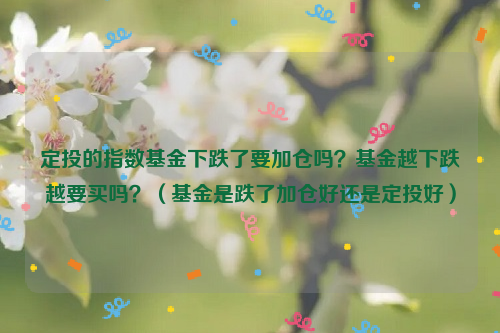 定投的指数基金下跌了要加仓吗？基金越下跌越要买吗？（基金是跌了加仓好还是定投好）