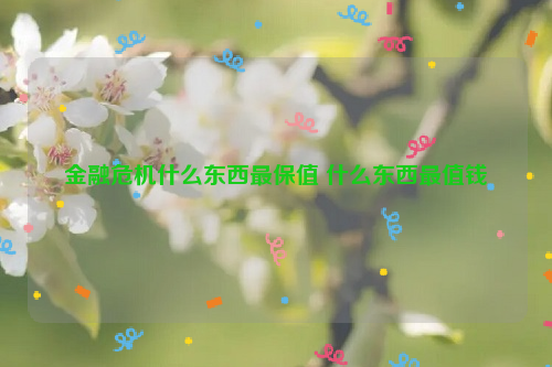 金融危机什么东西最保值 什么东西最值钱