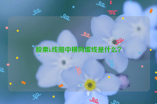 股票k线图中横向虚线是什么？