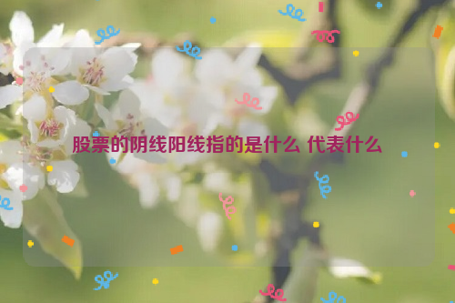 股票的阴线阳线指的是什么 代表什么