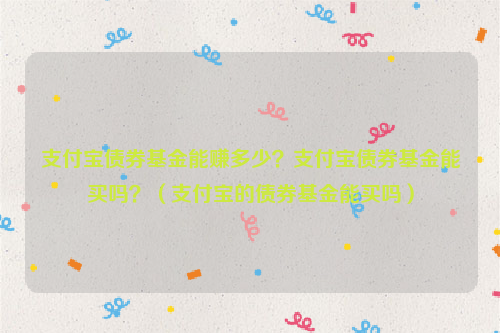 支付宝债券基金能赚多少？支付宝债券基金能买吗？（支付宝的债券基金能买吗）