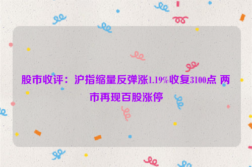 股市收评：沪指缩量反弹涨1.19%收复3100点 两市再现百股涨停