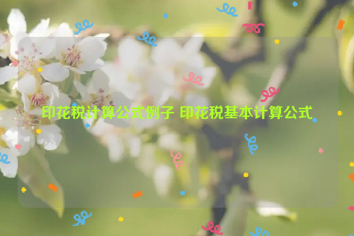 印花税计算公式例子 印花税基本计算公式