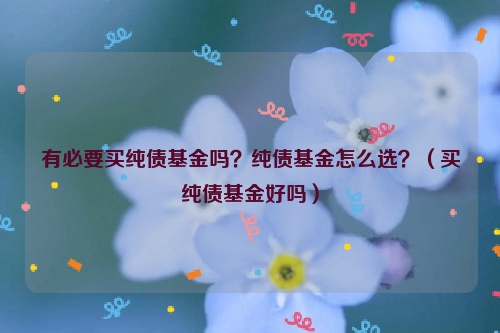 有必要买纯债基金吗？纯债基金怎么选？（买纯债基金好吗）