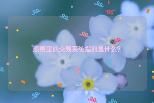 股票里的交易系统指的是什么？